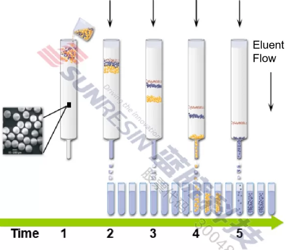 processing of chromatography separation and resin position inside the chromatographic column